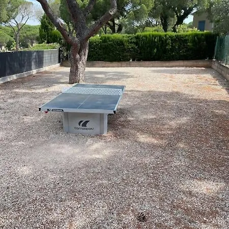 Rez De Jardin Piscine Dans * Fréjus